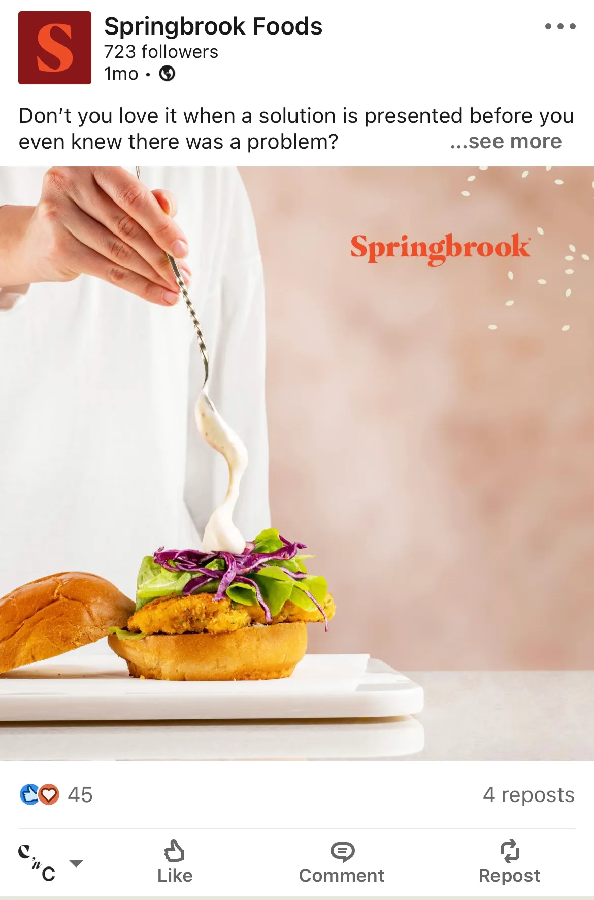 LinkedIn Content Strategy and Execution for Springbrook Foods