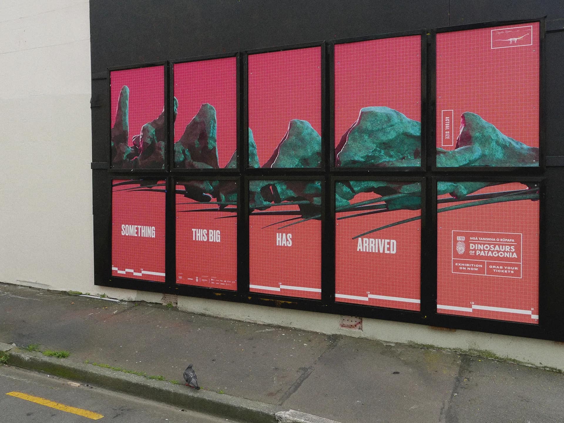 Dinosaurs of Patagonia Campaign for Te Papa gallery 3