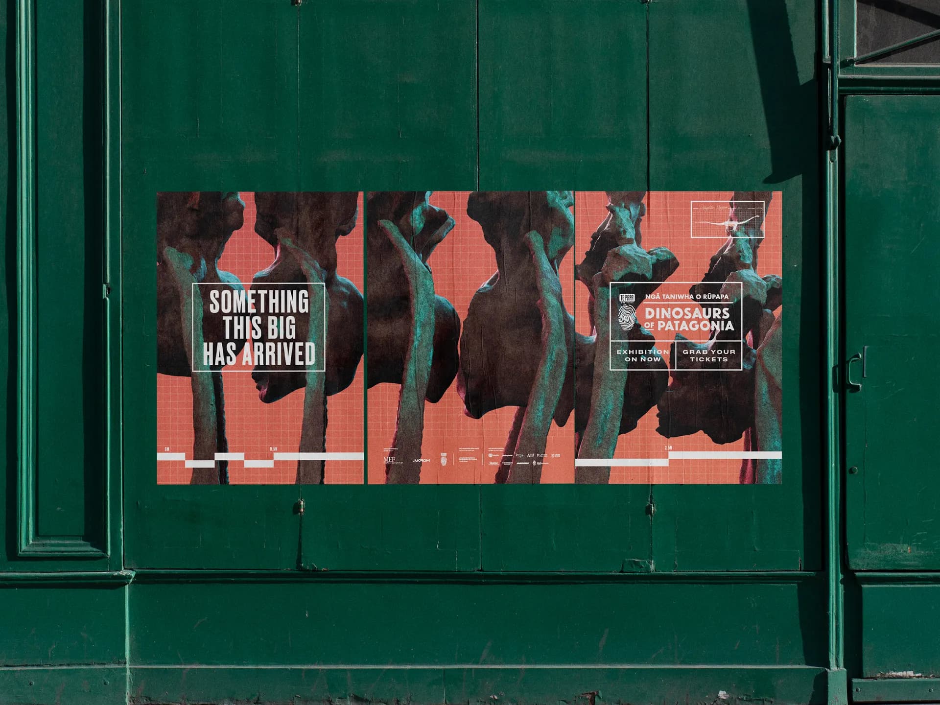 Dinosaurs of Patagonia Campaign for Te Papa project image