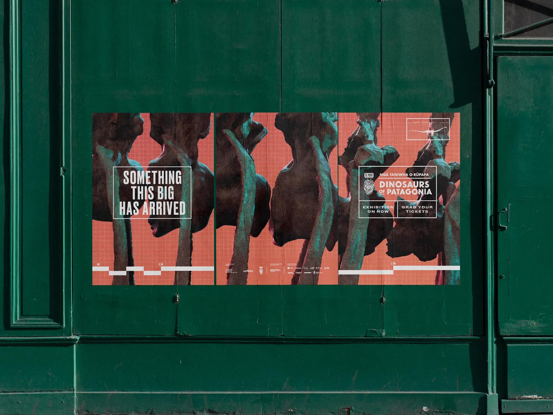 Dinosaurs of Patagonia Campaign for Te Papa gallery 4