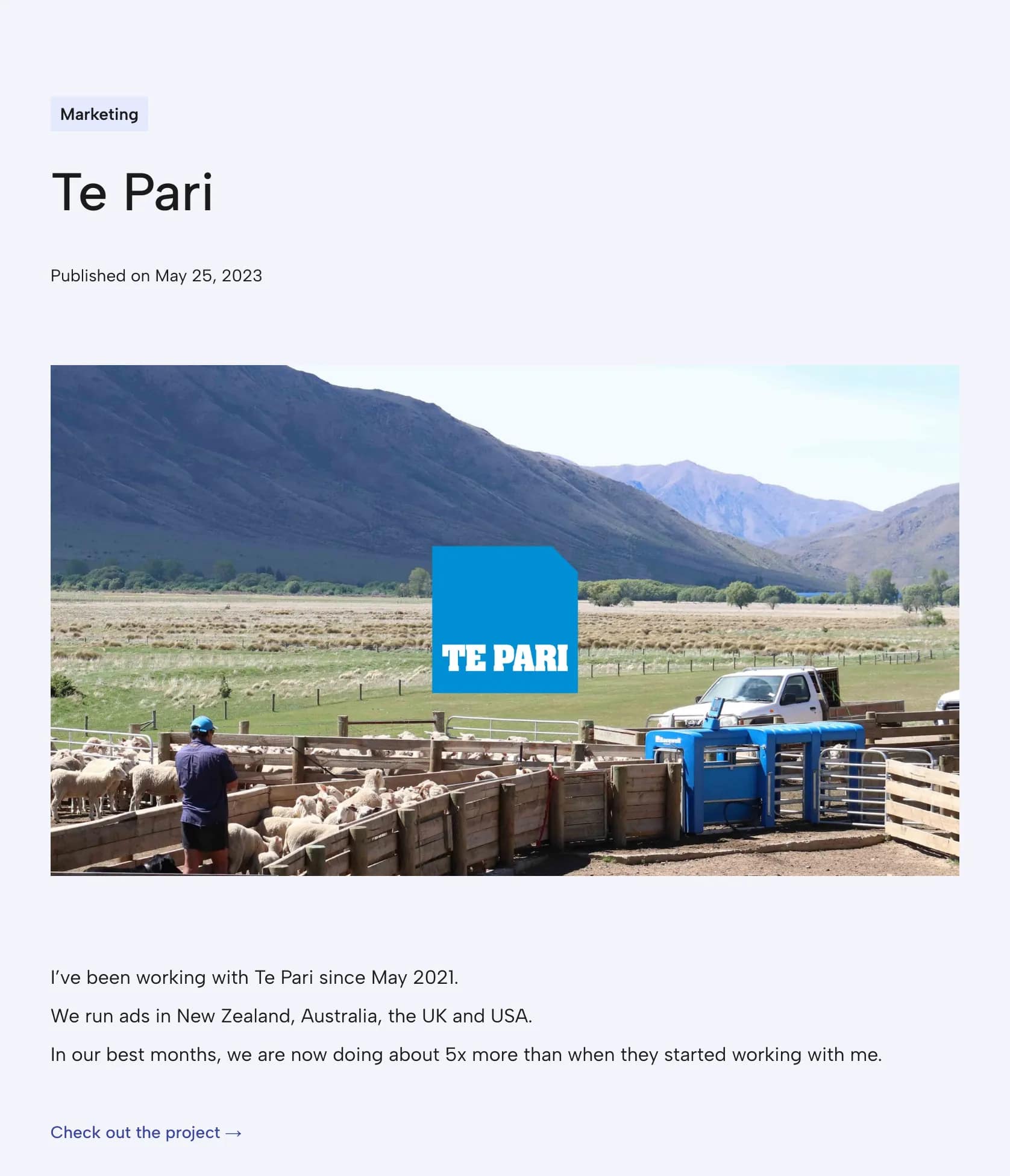 International Digital Advertising Growth for Te Pari