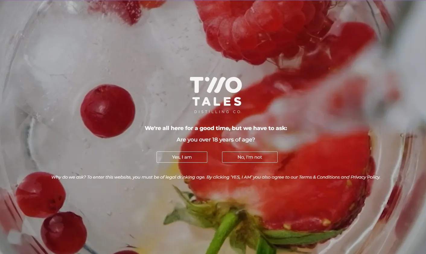 E-commerce Website for Two Tales Gin Boutique Beverages project image