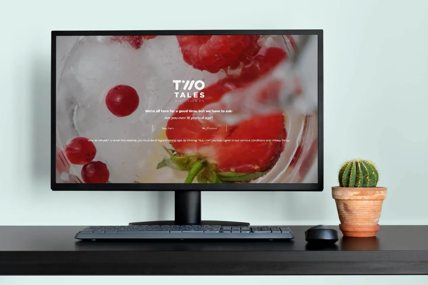 E-commerce Website for Two Tales Gin Boutique Beverages project image