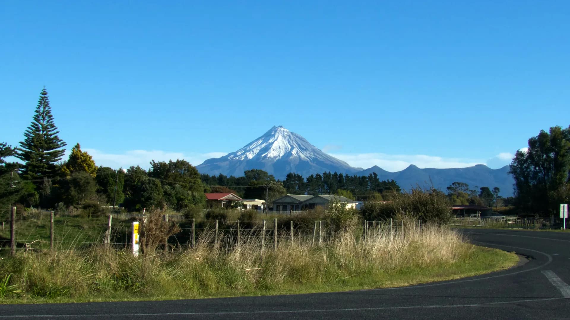 Editing and Proofreading for Taranaki 2050 Transition Pathway Action Plans