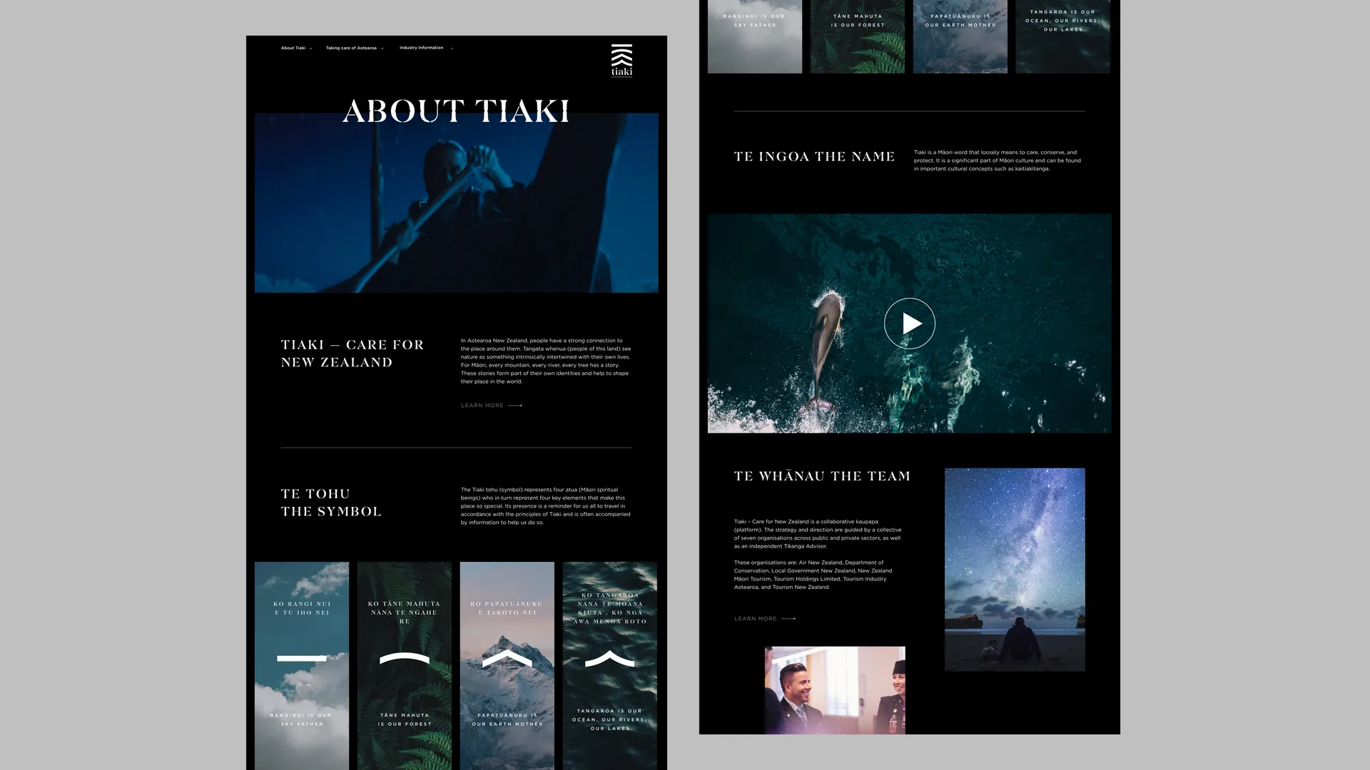 Bilingual Website Design for Tiaki Promise Initiative gallery 2