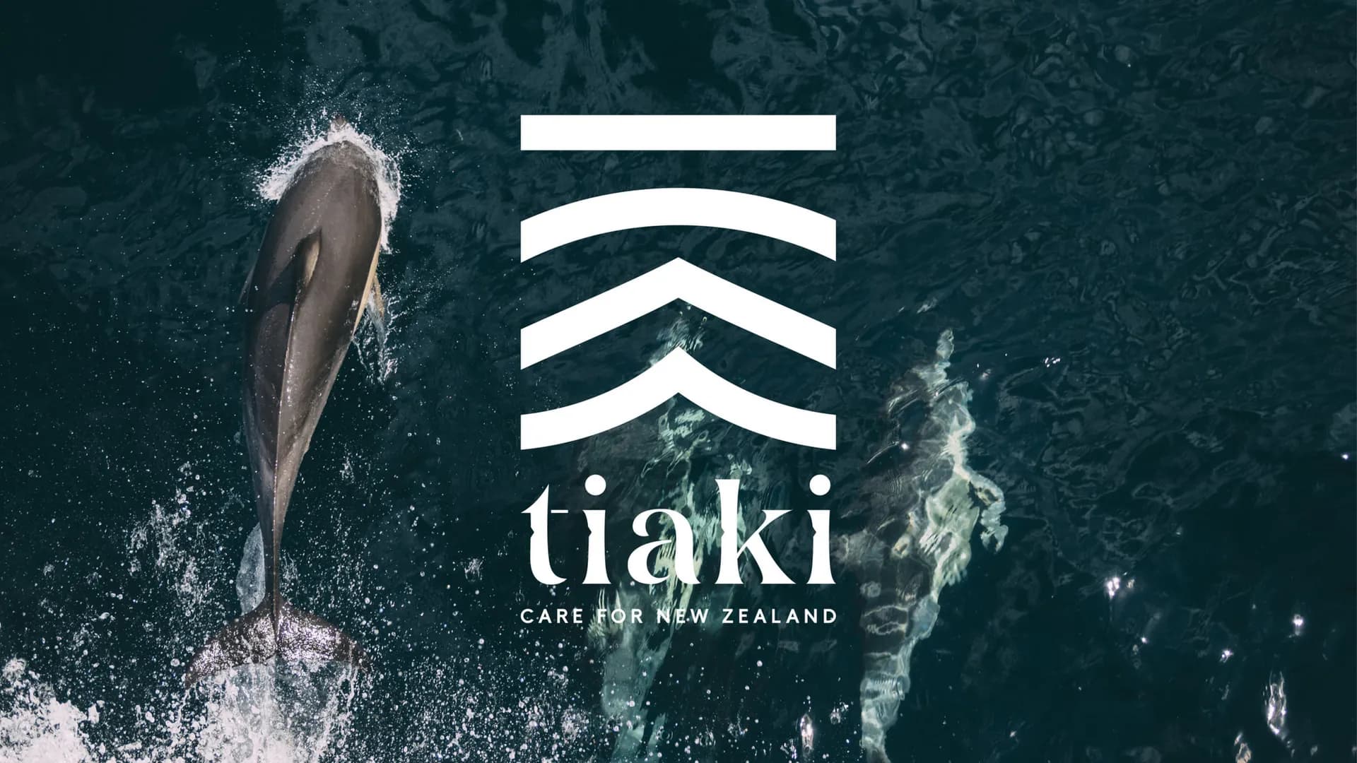 Bilingual Website Design for Tiaki Promise Initiative