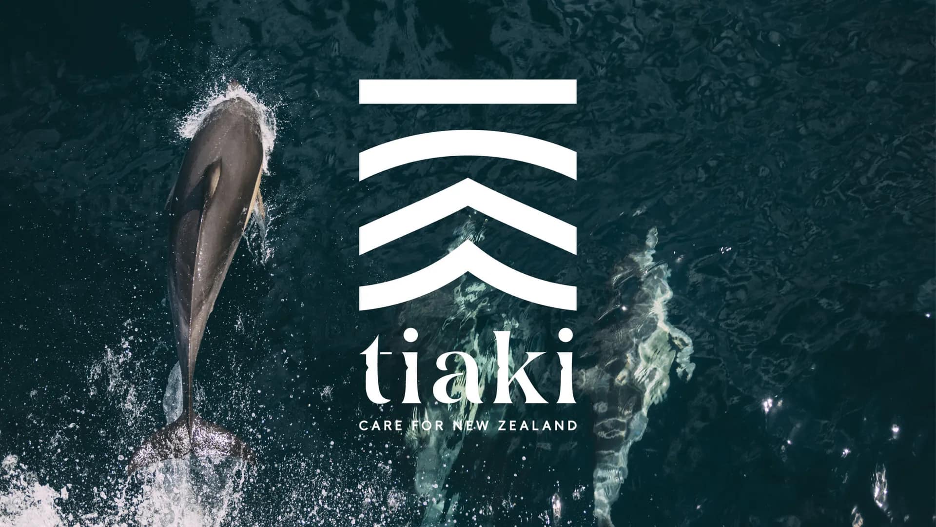 Bilingual Website Design for Tiaki Promise Initiative