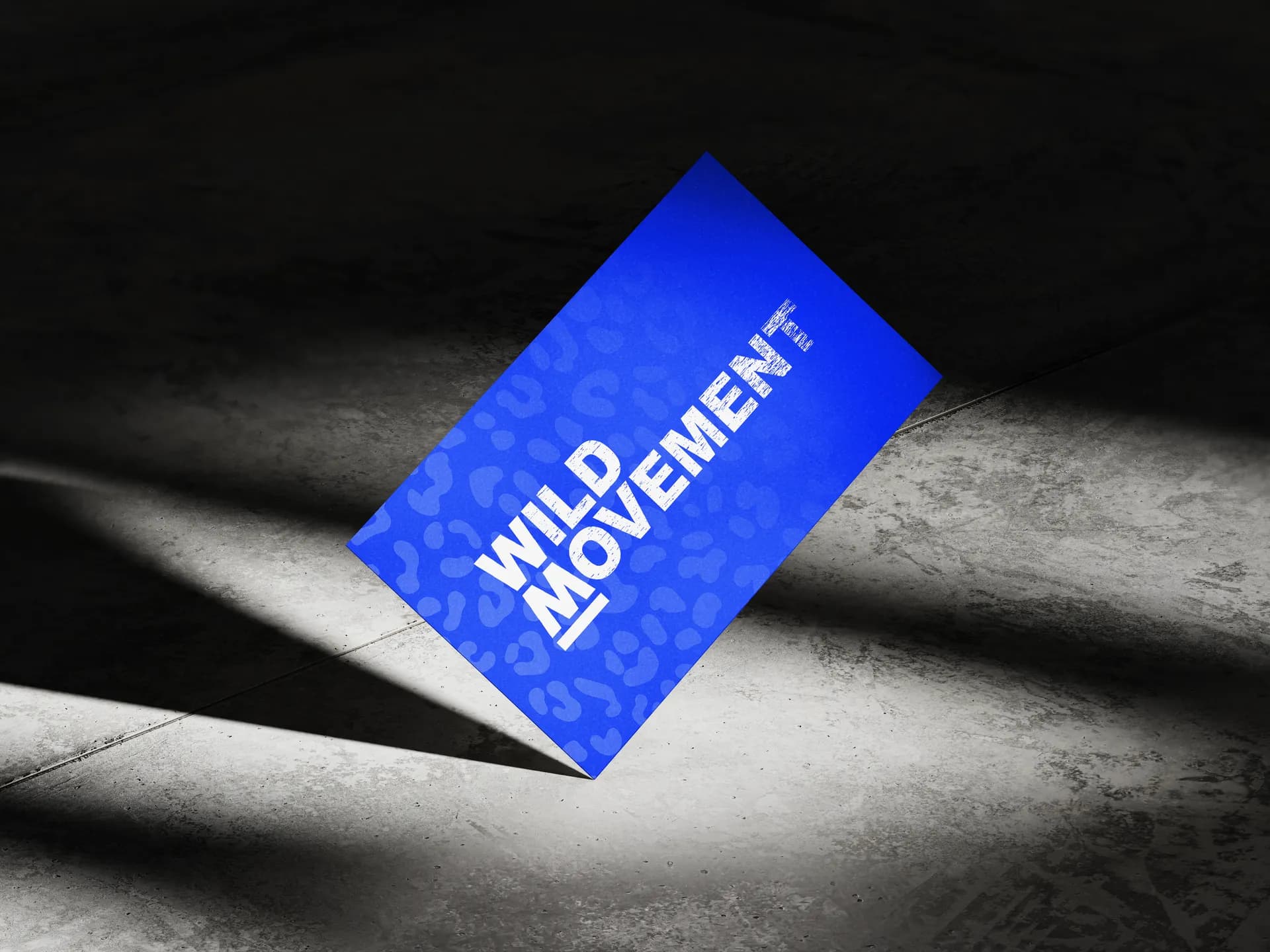 Brand Identity Design for Wild Movement Fitness Collective
