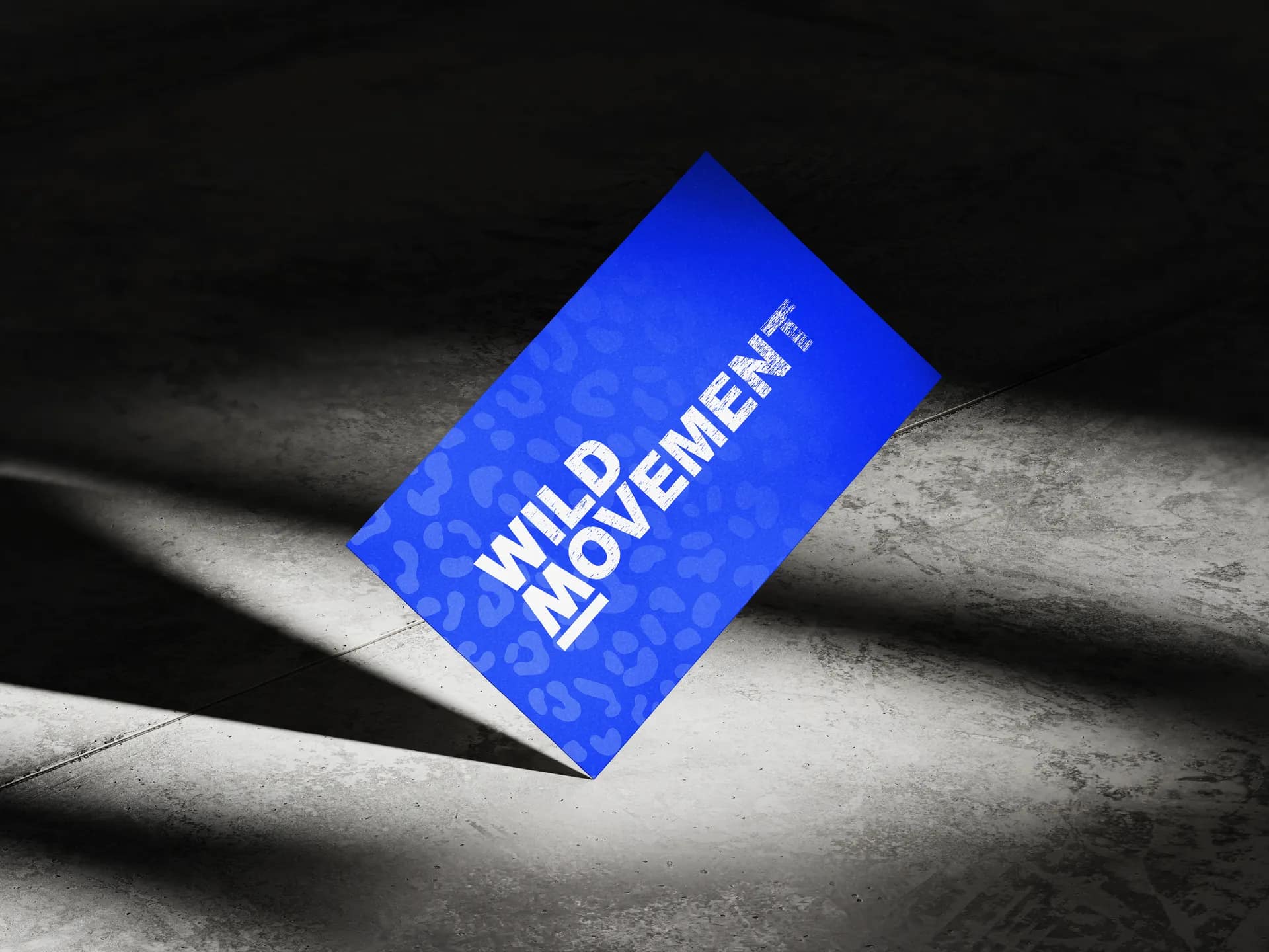 Brand Identity Design for Wild Movement Fitness Collective
